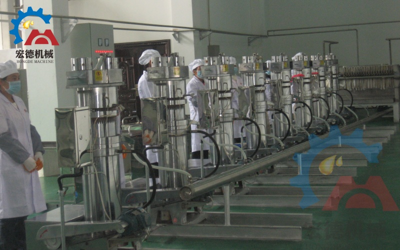 核桃油壓榨生產線